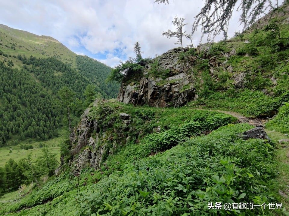 偶然记录的33个瞬间，初看很困惑，看懂后又觉得很妙