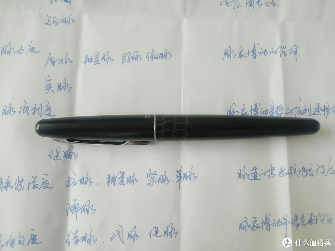 钢笔篇三：扒开坑，浅谈手中的钢笔