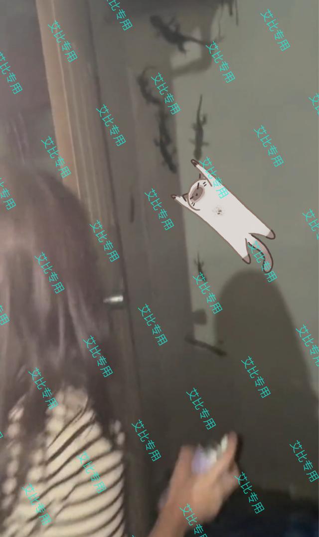一女子打开门发现一窝壁虎,家里门上爬着壁虎