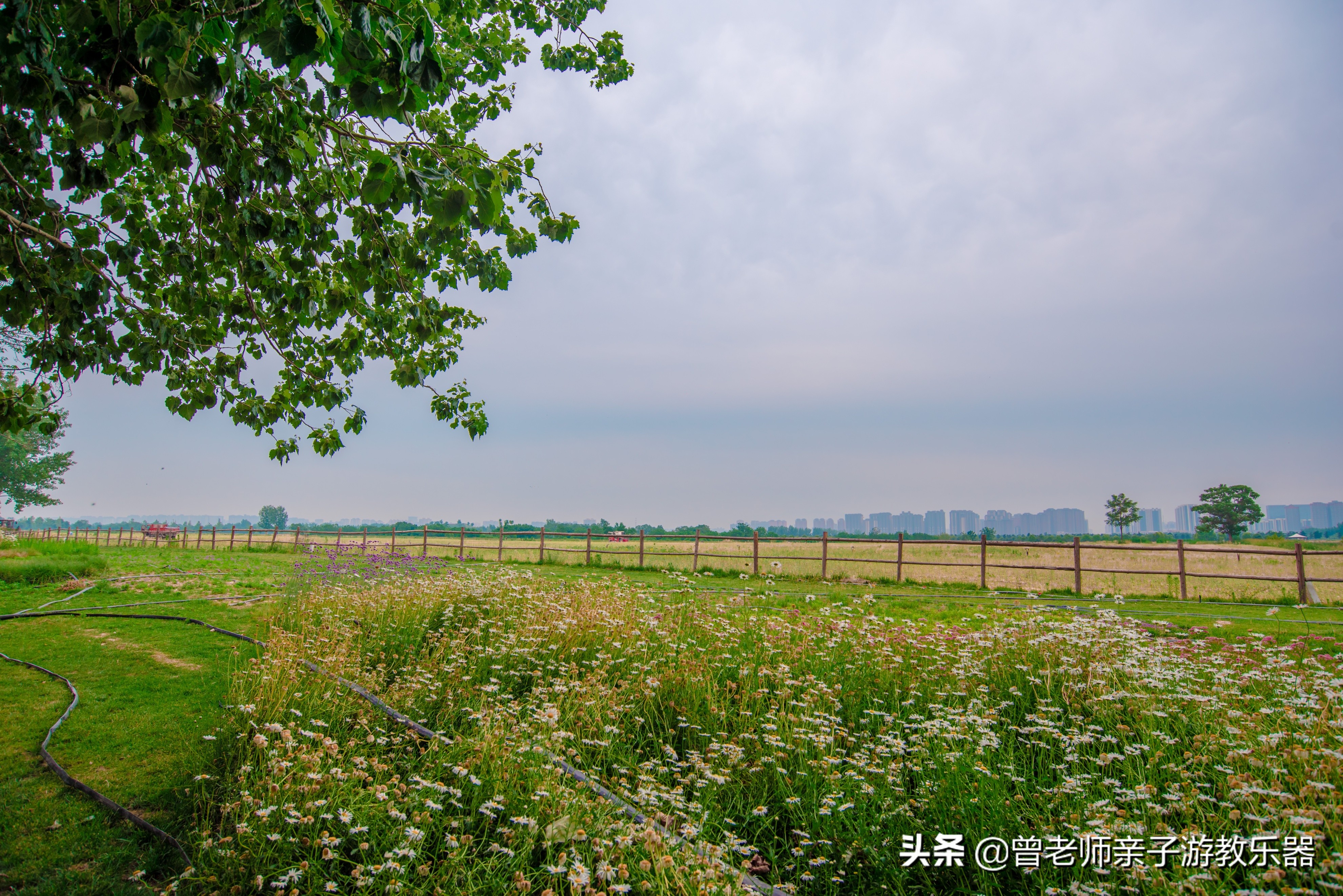 汉长安城未央宫遗址公园露营电话,汉长安城遗址公园露营最新