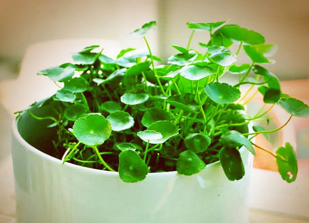 到底是糊涂还是迷途,到底什么是糊涂