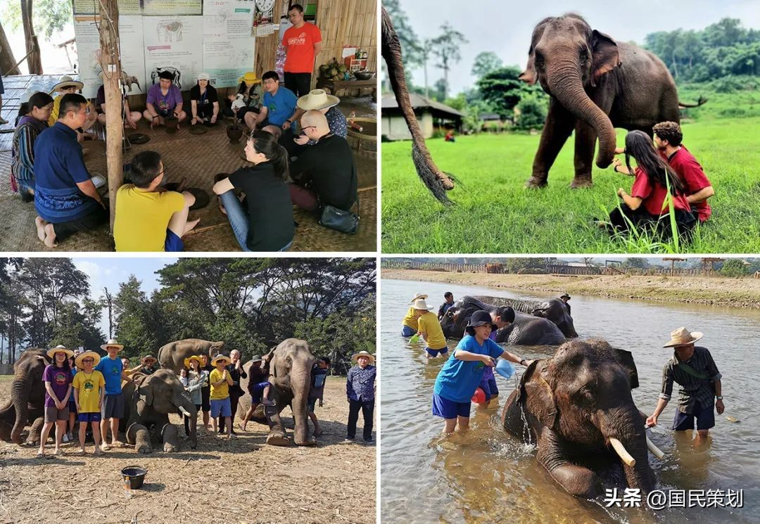 泰国清迈有什么好项目,泰国清迈旅行项目