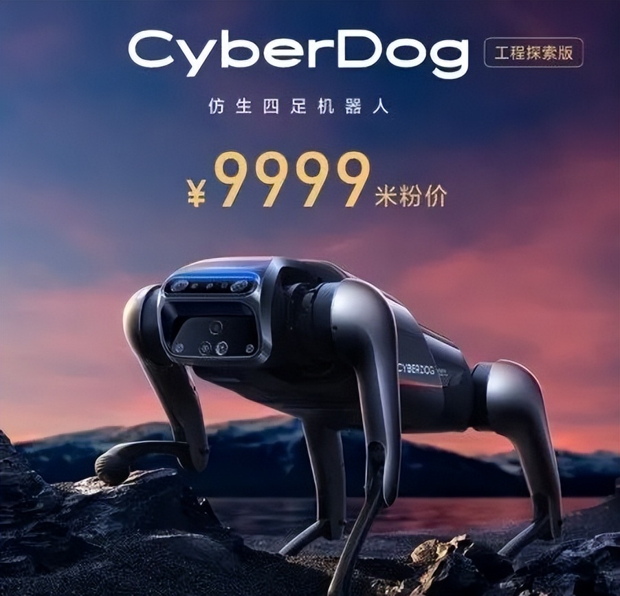 遛机械狗兼职,遛机械狗