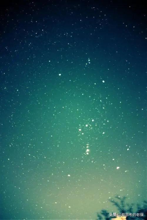 春天的绿色,春天的绿色风景