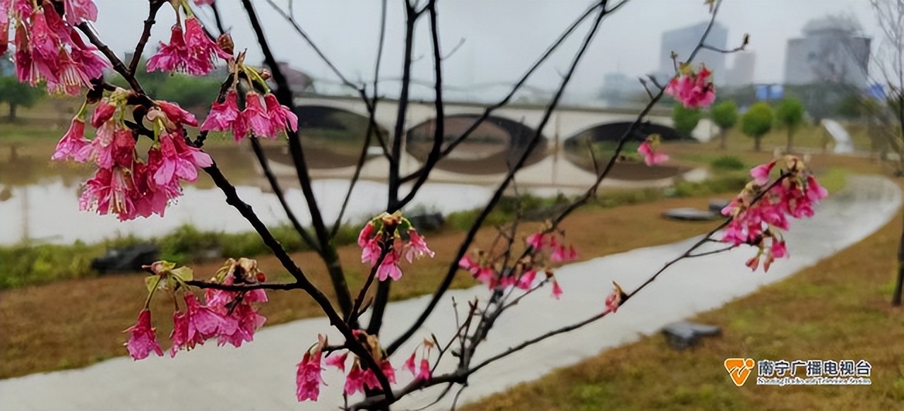 南宁天气预报未来15天回南天,2022南宁回南天什么时候结束