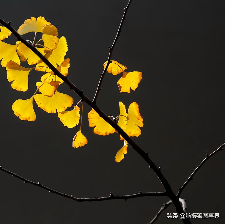 拍照如何确保对焦准确,拍照时对焦很难对上