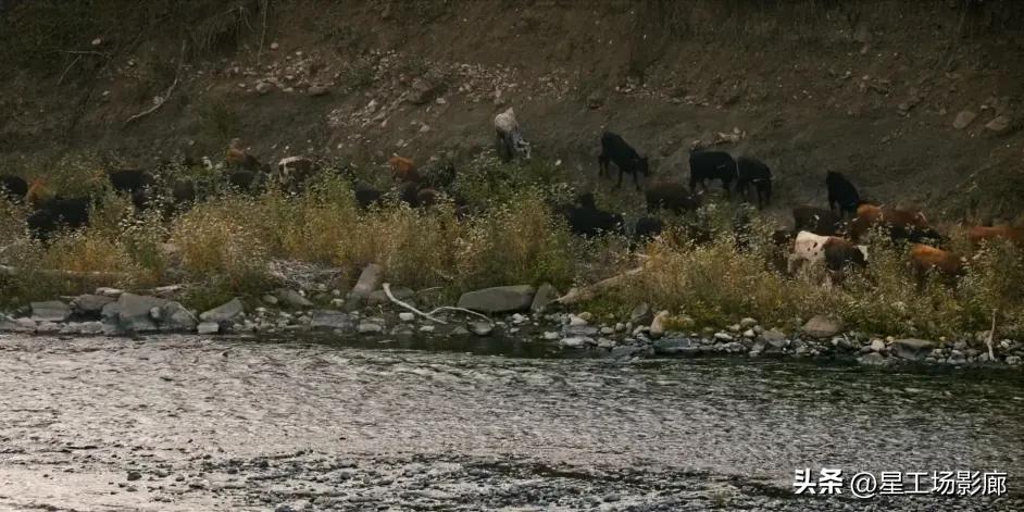 比利小子第一季剧评,比利小子美剧第二季详解