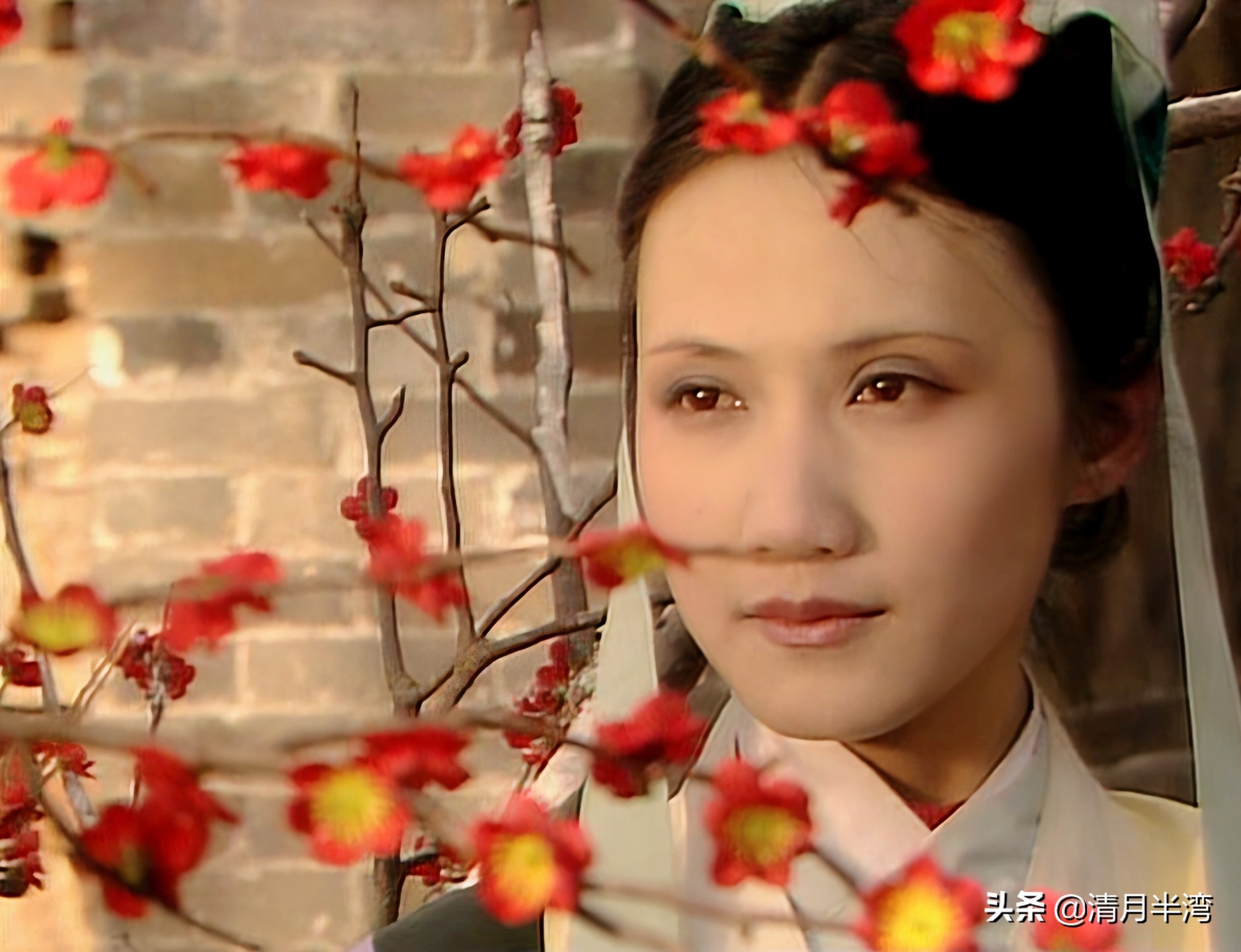 两版红楼梦金陵十二钗颜值对比,87版红楼薛宝钗最漂亮吗