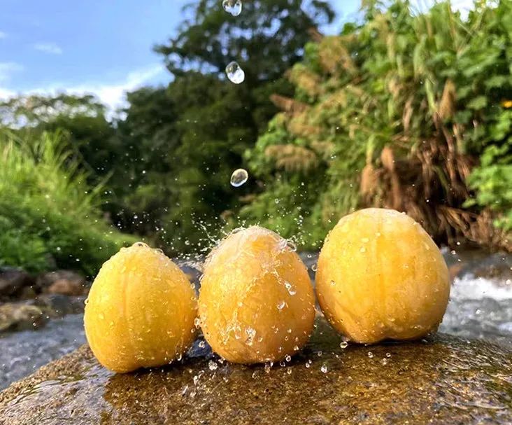 暑假韶关有什么好玩的地方,韶关周边避暑胜地亲子游