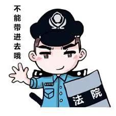 法院为什么要安检看完你就明白了,法院安检真的有必要吗