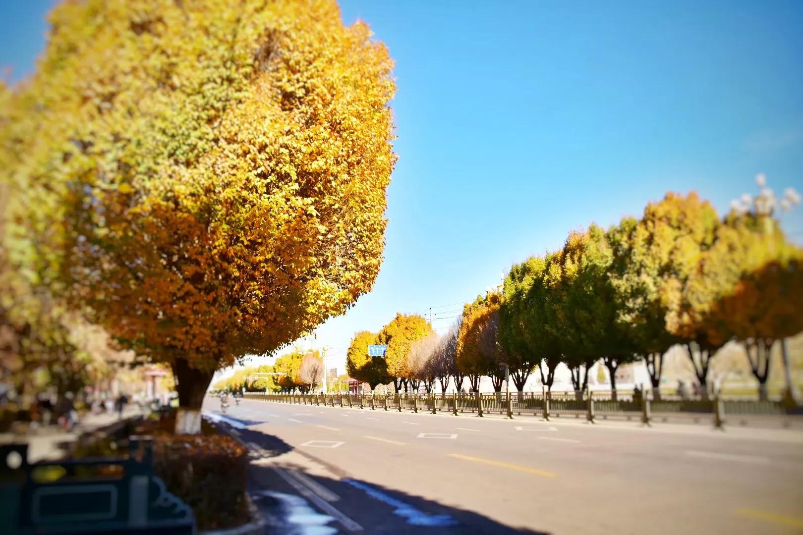 为什么有那么多散户买入高价股,低价股为什么股民追捧