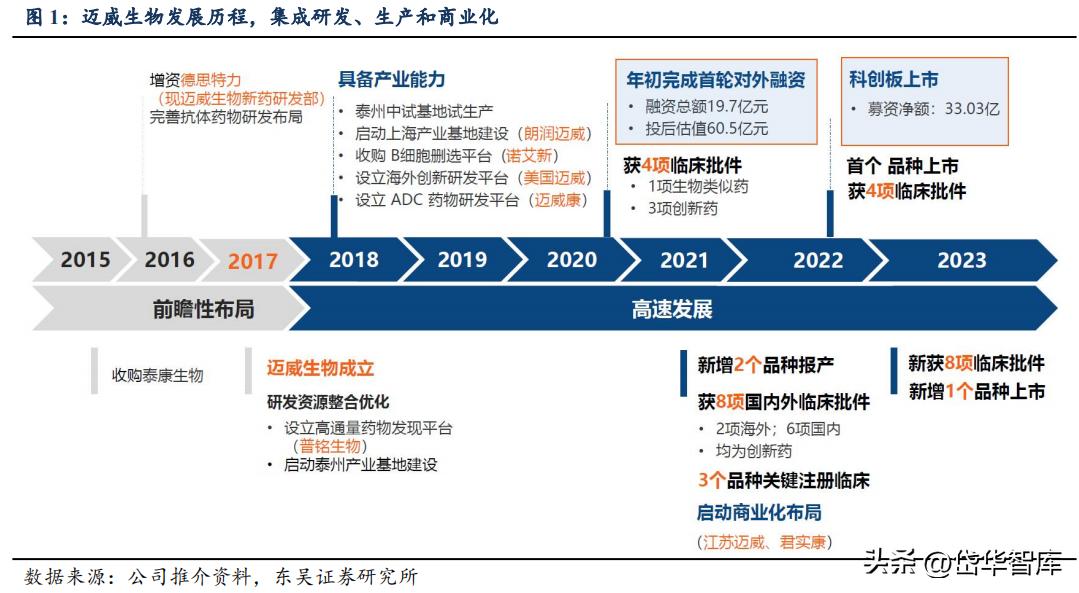有效避开内卷，迈威生物：ADC锋芒初显，快速成长的Biopharma
