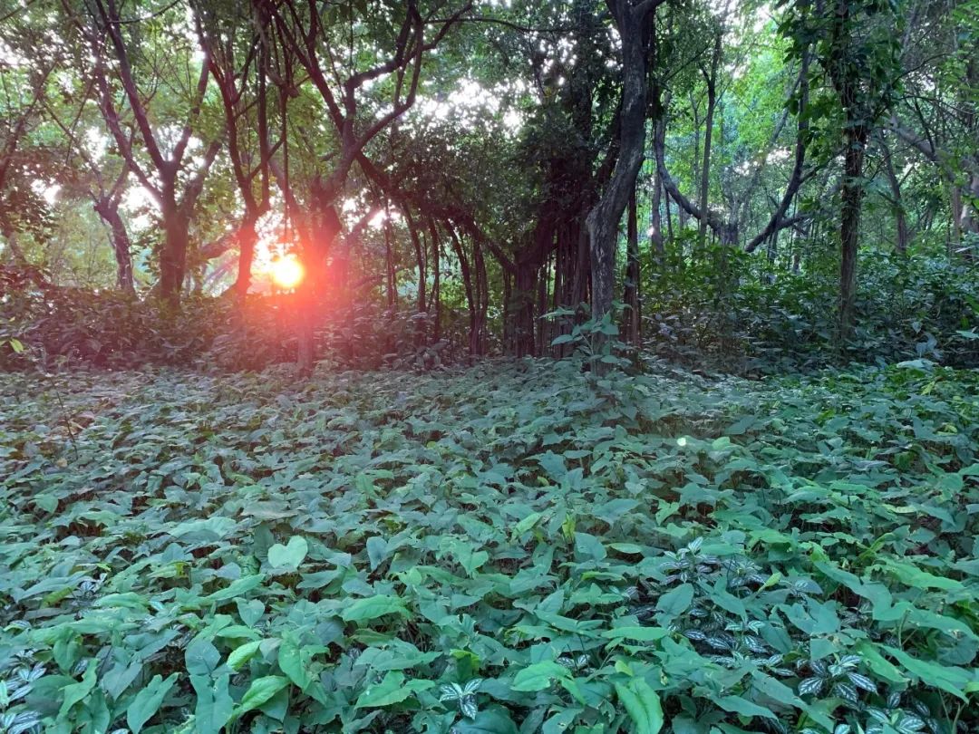 justforfun中文意思,justforfun