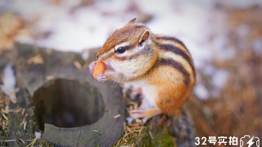 长白山的秋季,长白山夏天和秋天的区别