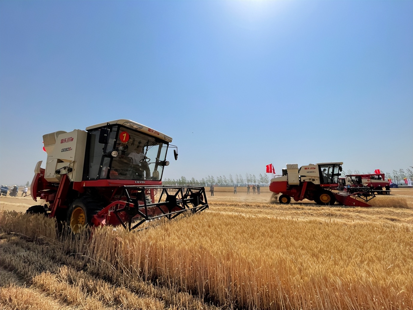 减出亿斤粮！潍柴雷沃以机收减损促颗粒归仓