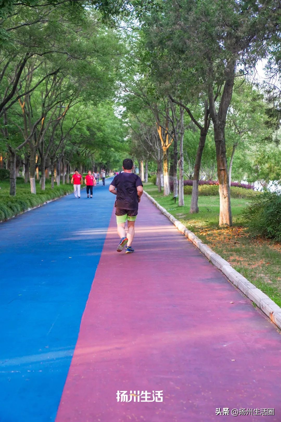 扬州夏天最热多少度,扬州苏州夏天哪个热