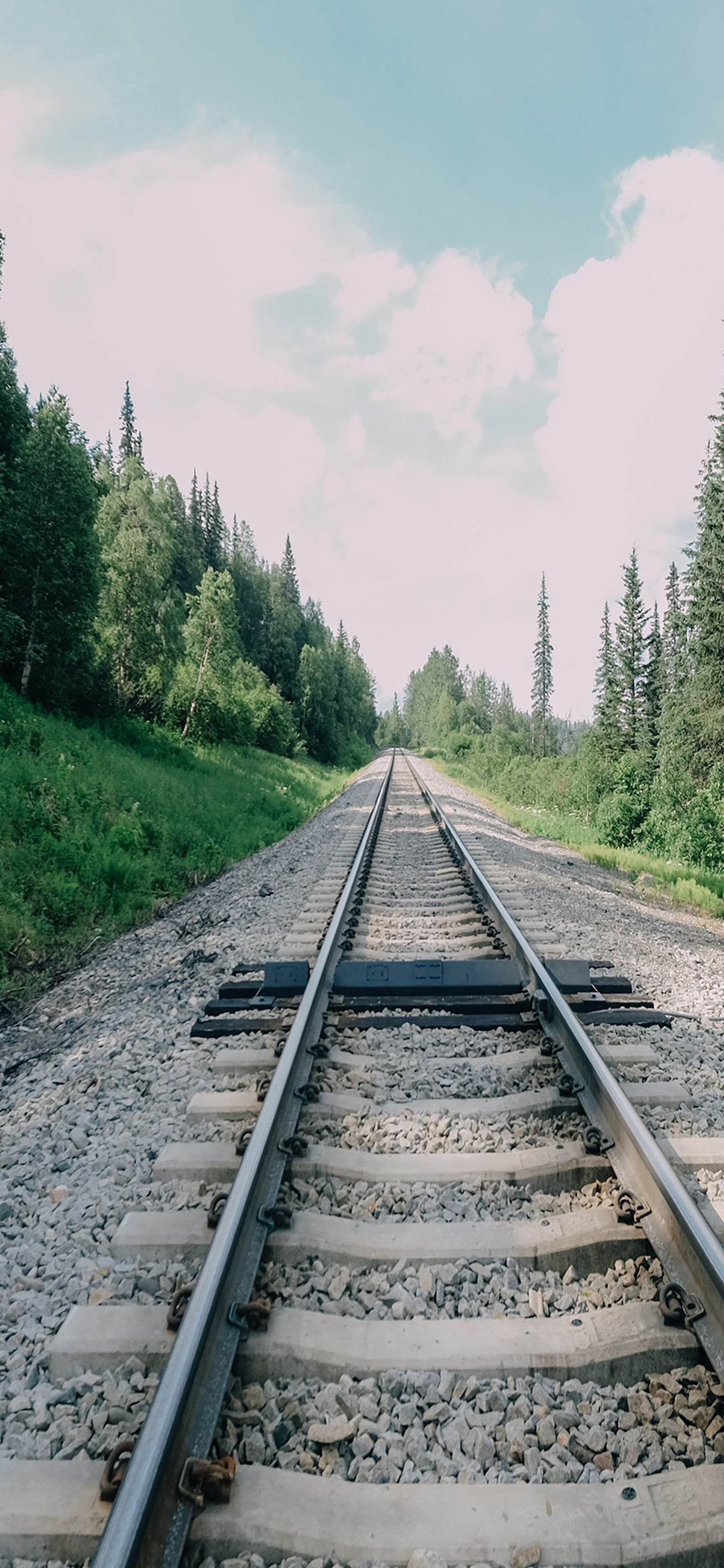 风景壁纸春,春天有百花秋有凉风冬有雪壁纸