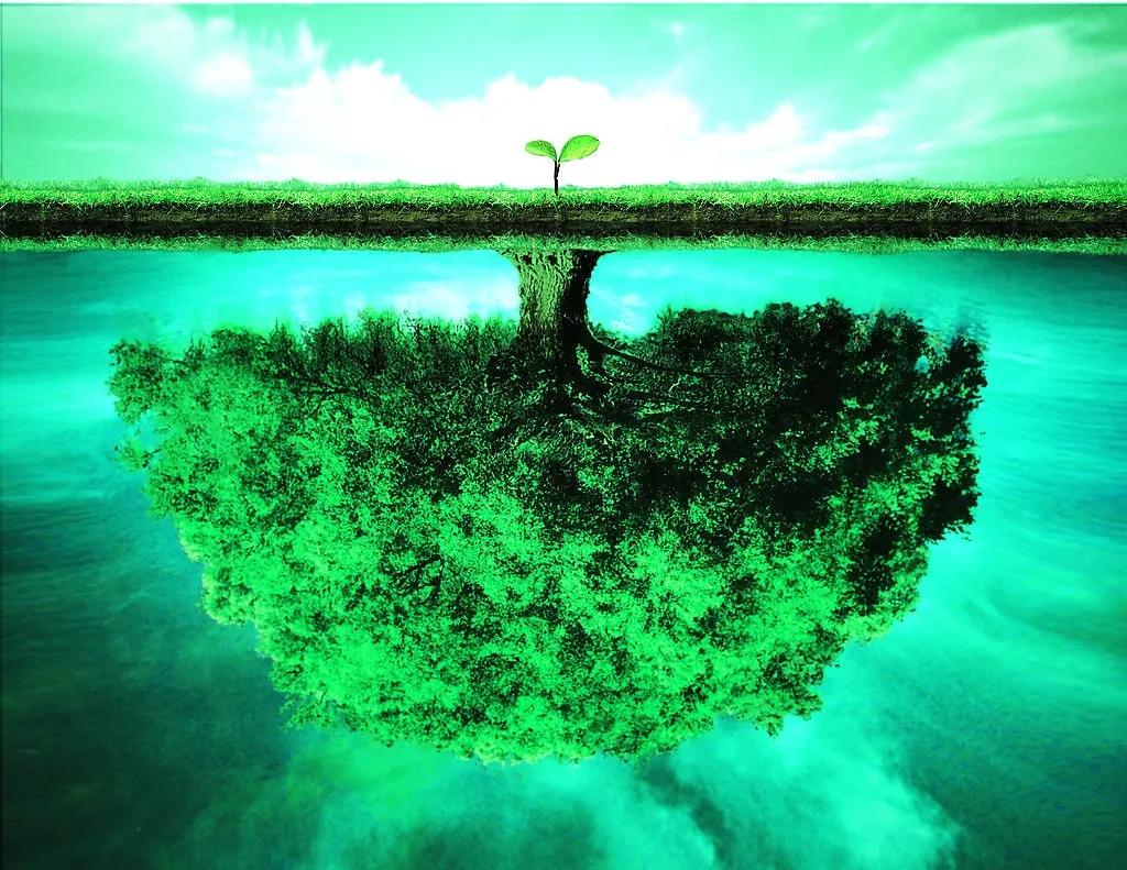 觉醒的秘诀有哪些,觉醒的基本原理