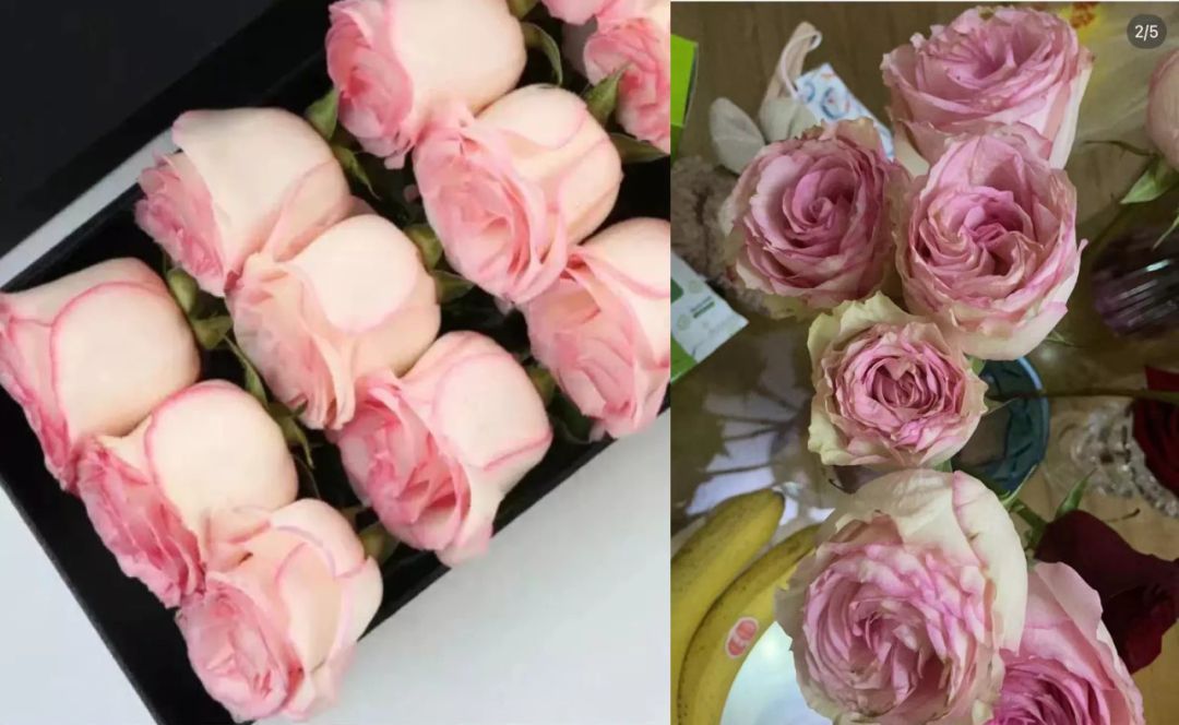 野兽派品牌存在问题,野兽派消费人群分析