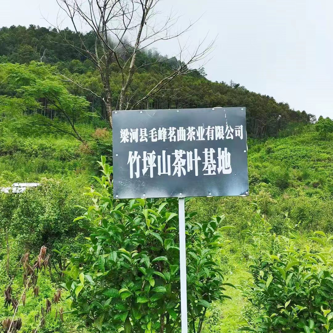 有机认证的条件,有机认证证书怎么看