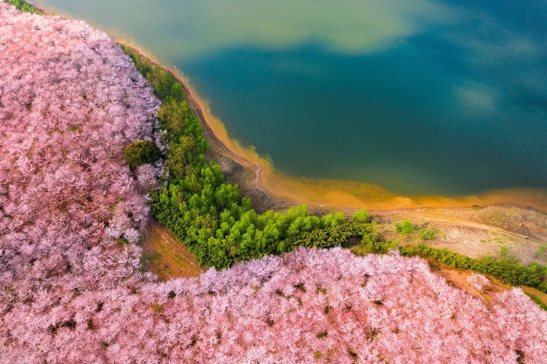 咏春最美诗词赏析,十首最美咏春诗词