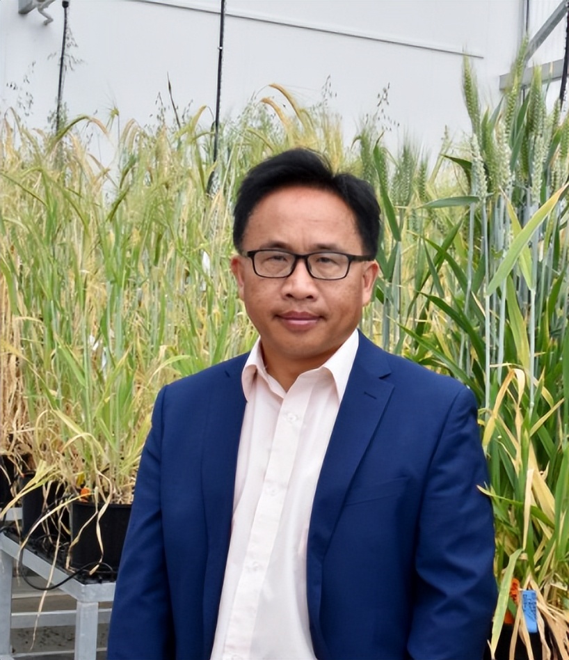 考研录取率连年攀升!长江大学神仙学院出圈:5个寝室全员上岸