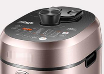 电压力锅，你怎么看？百花争芳的手柄（3-手柄篇）