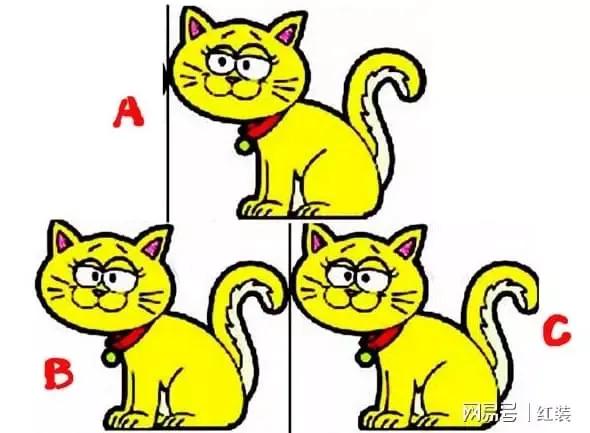 看微头条要点赞评论提高活跃度吗,微头条广告真的能提升活跃度吗