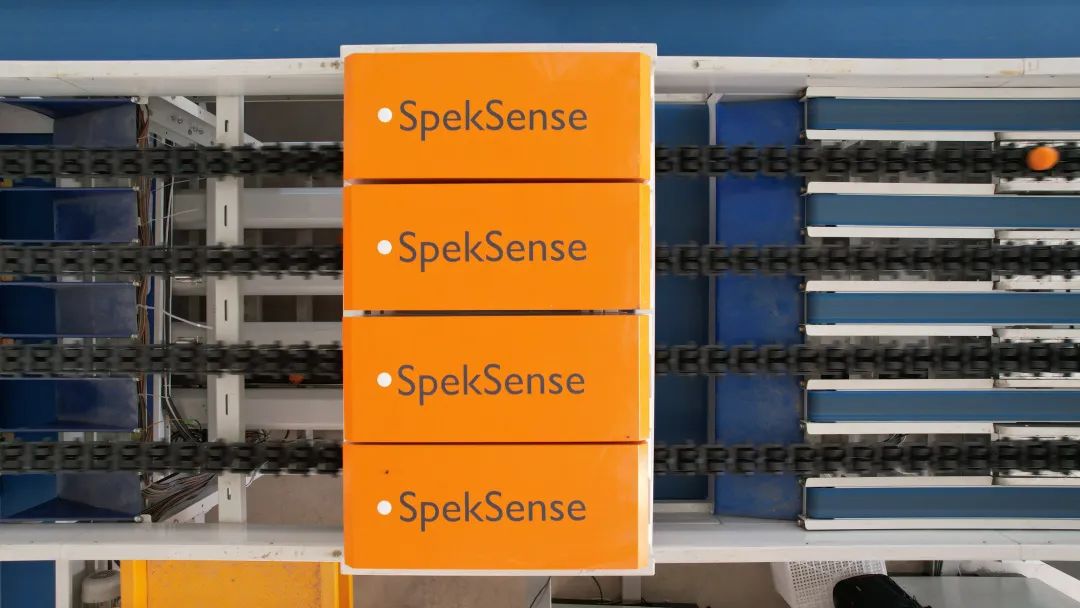 爱情的甜你尝过没,爱情的甜尝不了