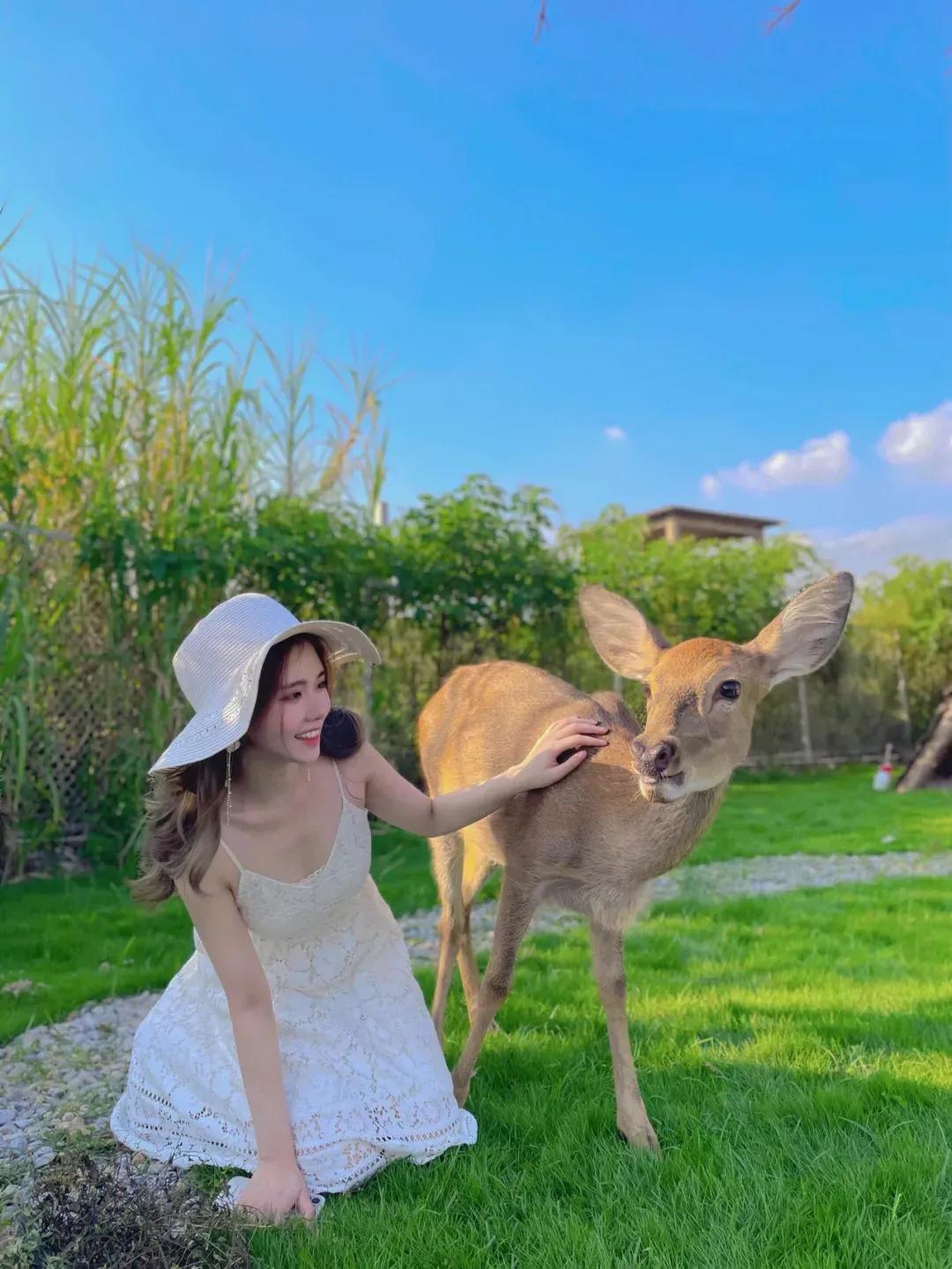 缃戠粶璐墿鐨勯櫡闃辨湁鍝簺,缃戠粶璐墿涓夌闄烽槺