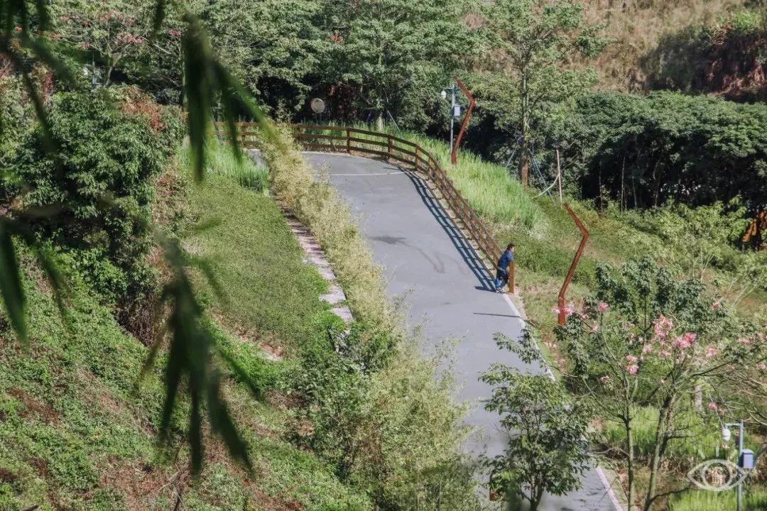 深圳户外好玩的地方推荐,深圳游玩景点户外推荐