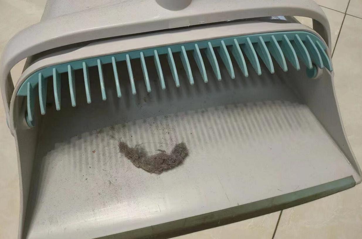 家里毛絮太多能怎么解决,家里到处都是毛絮怎么解决