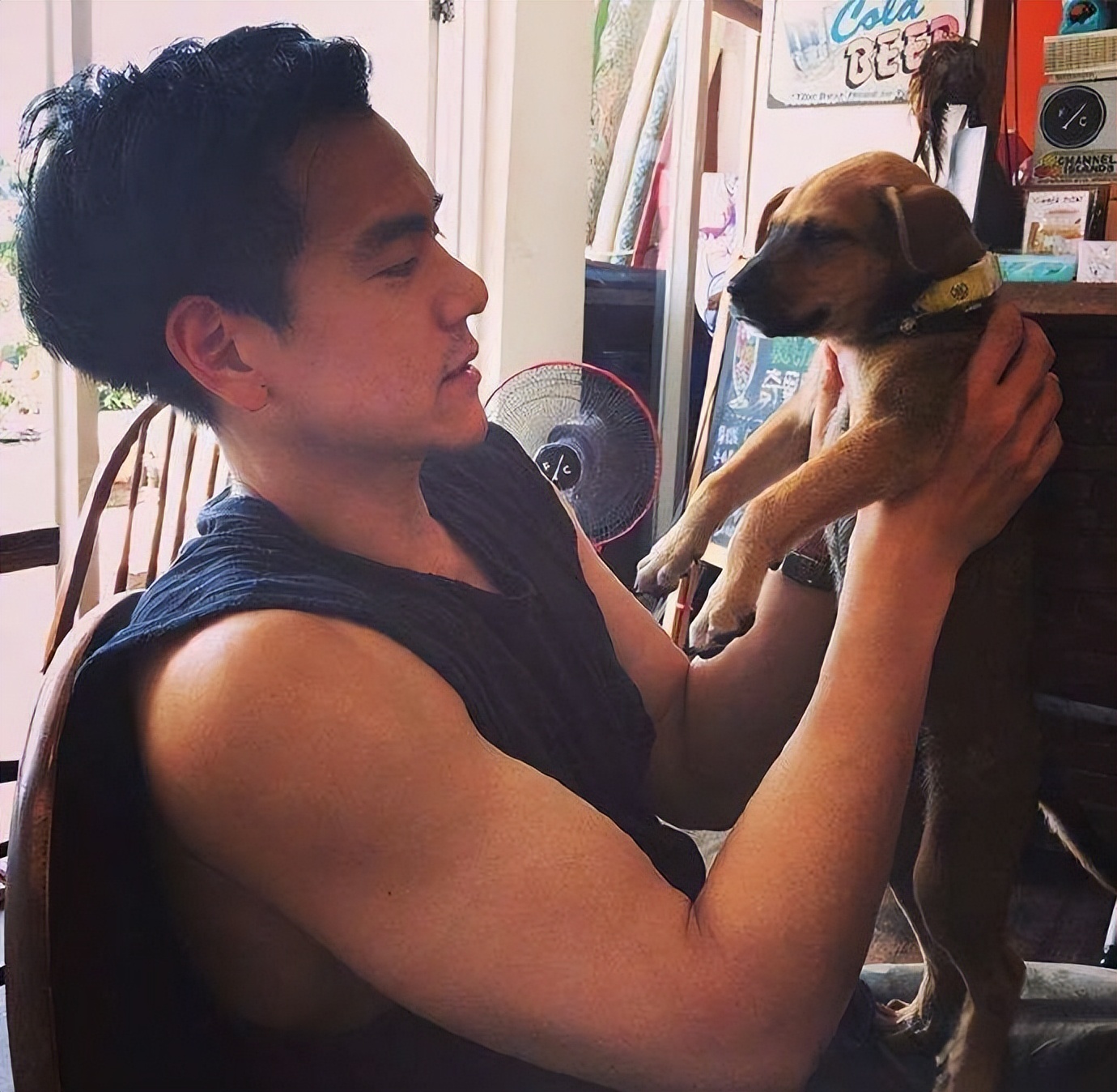 彭于晏为啥不火,彭于晏真的有演技吗