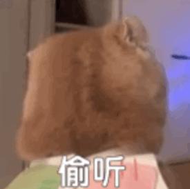 2019日本有哪些赚钱的行业,在日本一年挣20万人民币怎么样