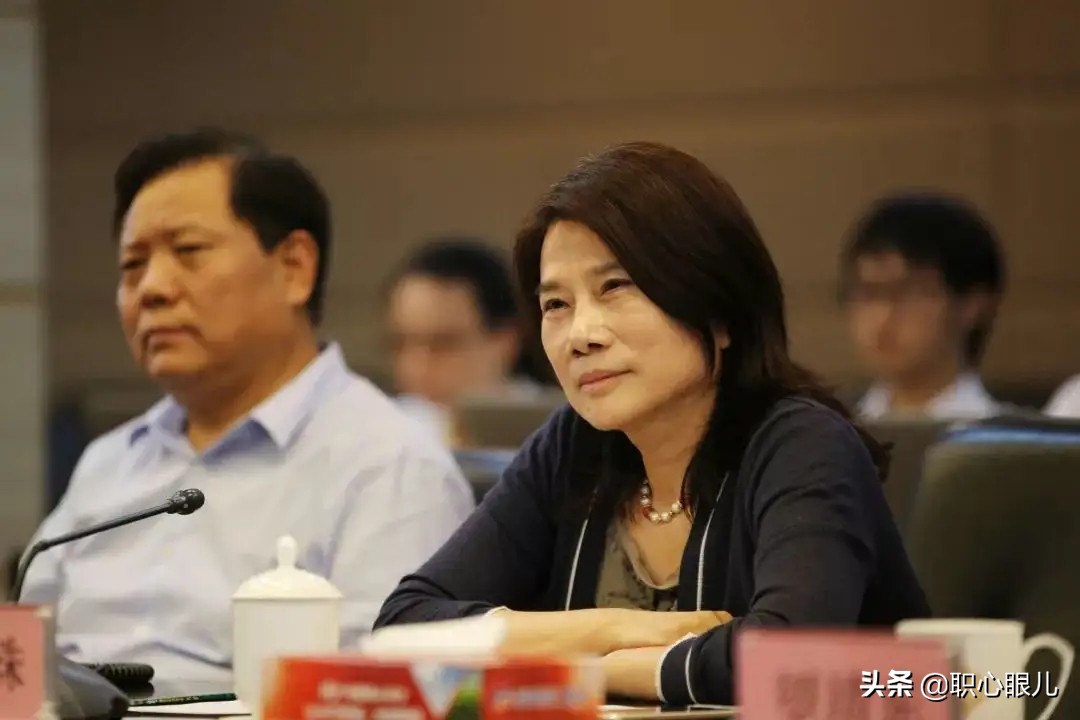 董明珠和王健林投资银隆怎么样,董明珠王健林马云入股银隆