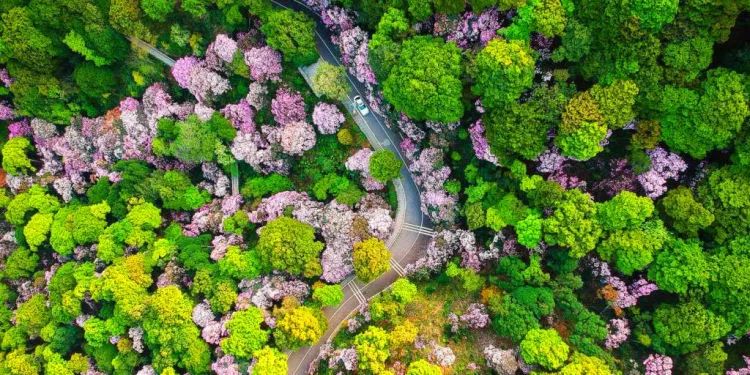 深圳自由行户外旅行,深圳市生态旅游精品线路