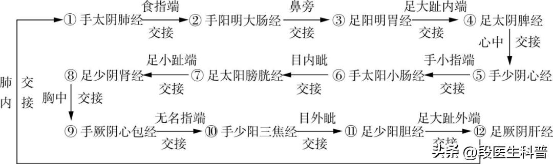 经络是由神经和血管组成的,人体经络具体作用有哪些