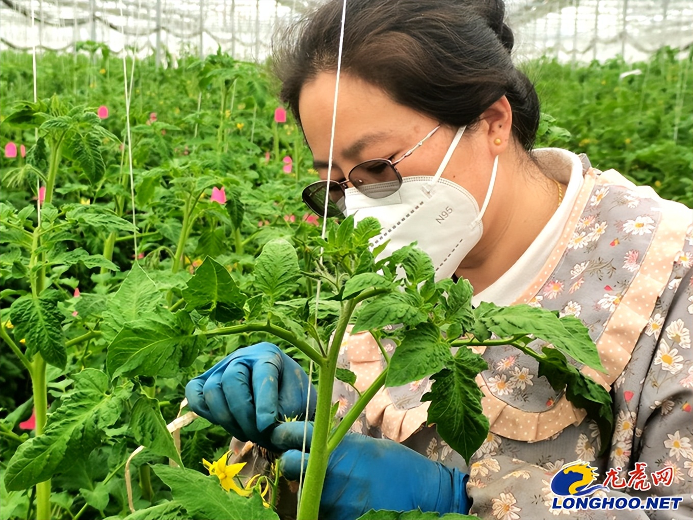 溧水中亮有机农场,江苏溧水现代农业园