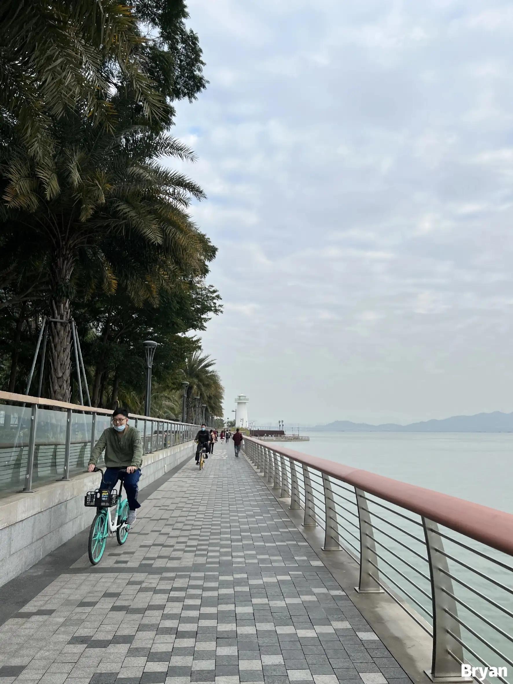 蛇口海上旅游,蛇口海上游深圳