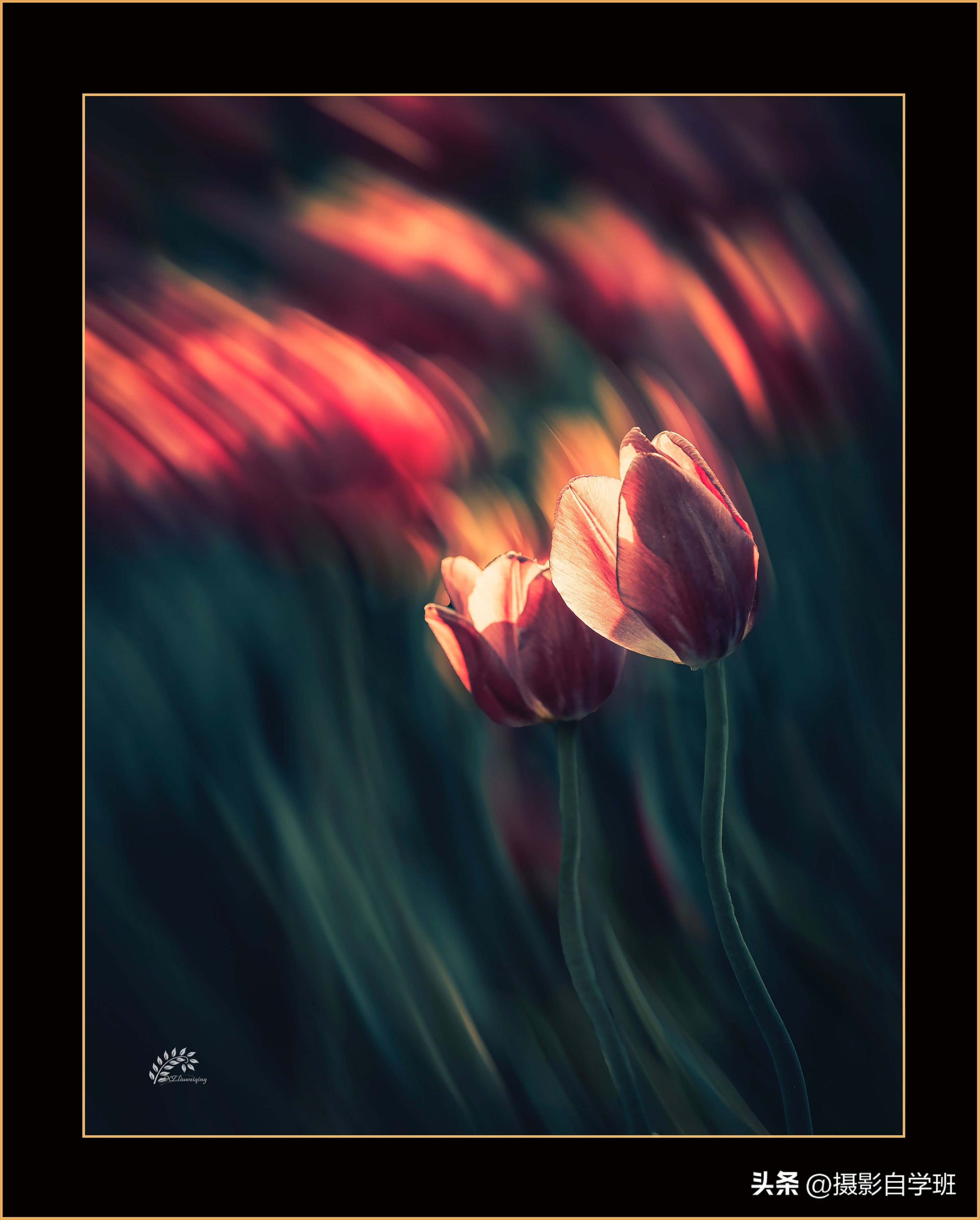 摄友投稿图片,摄友投稿旅行记录图