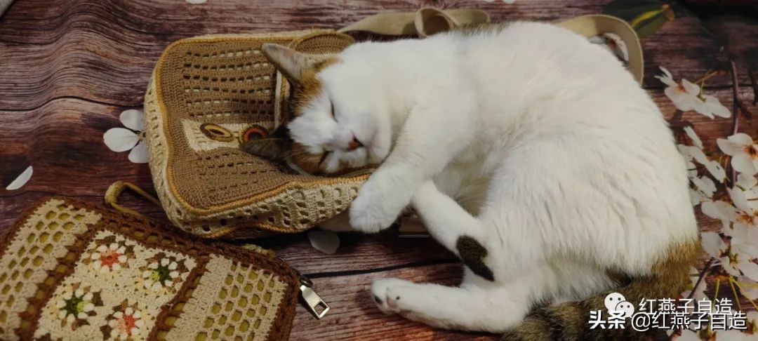 经典时尚的小包编织,横款小包编织教程简单一点