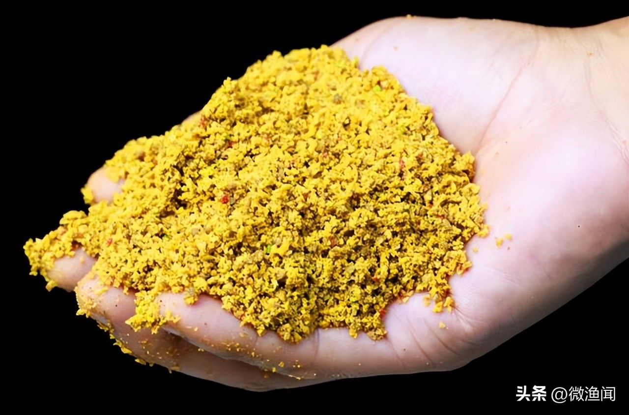 小黄面黑坑钓鲫鱼技巧,野钓聚不起鱼