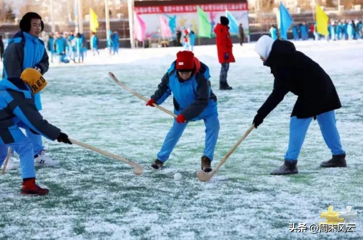 体育小贴士丨一起来了解曲棍球运动的技术与规则