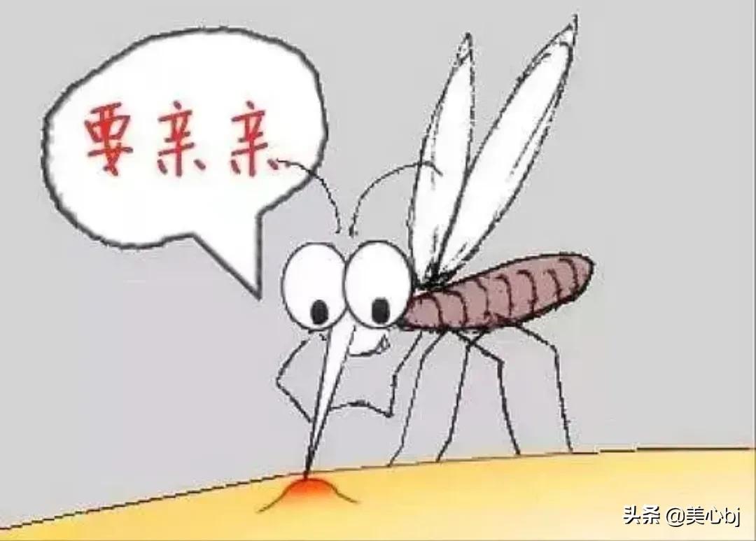 蚊子喜欢叮咬什么人如何防蚊子,老是被蚊子叮咬是什么体质
