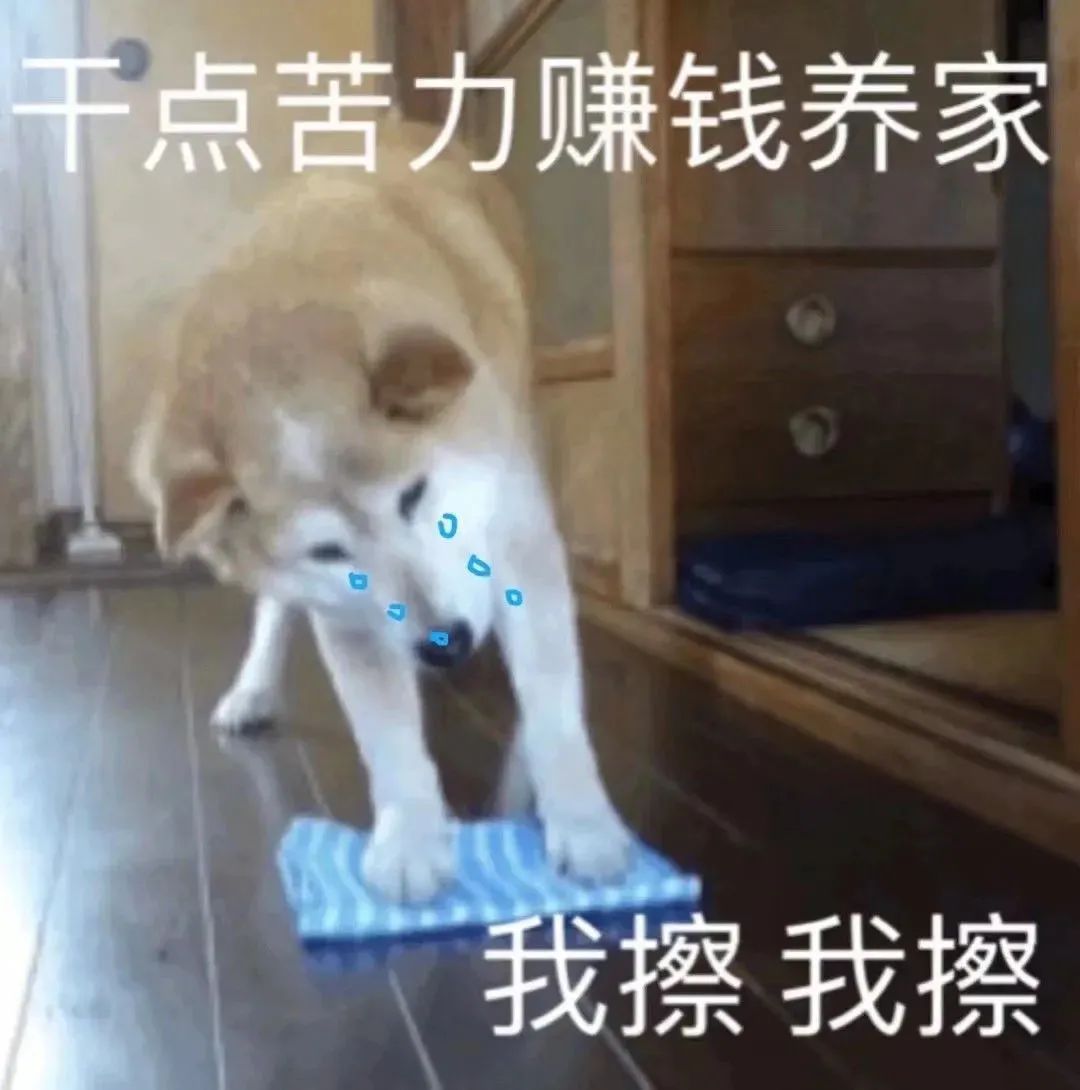 一个年轻人跟我讲自己喜欢996