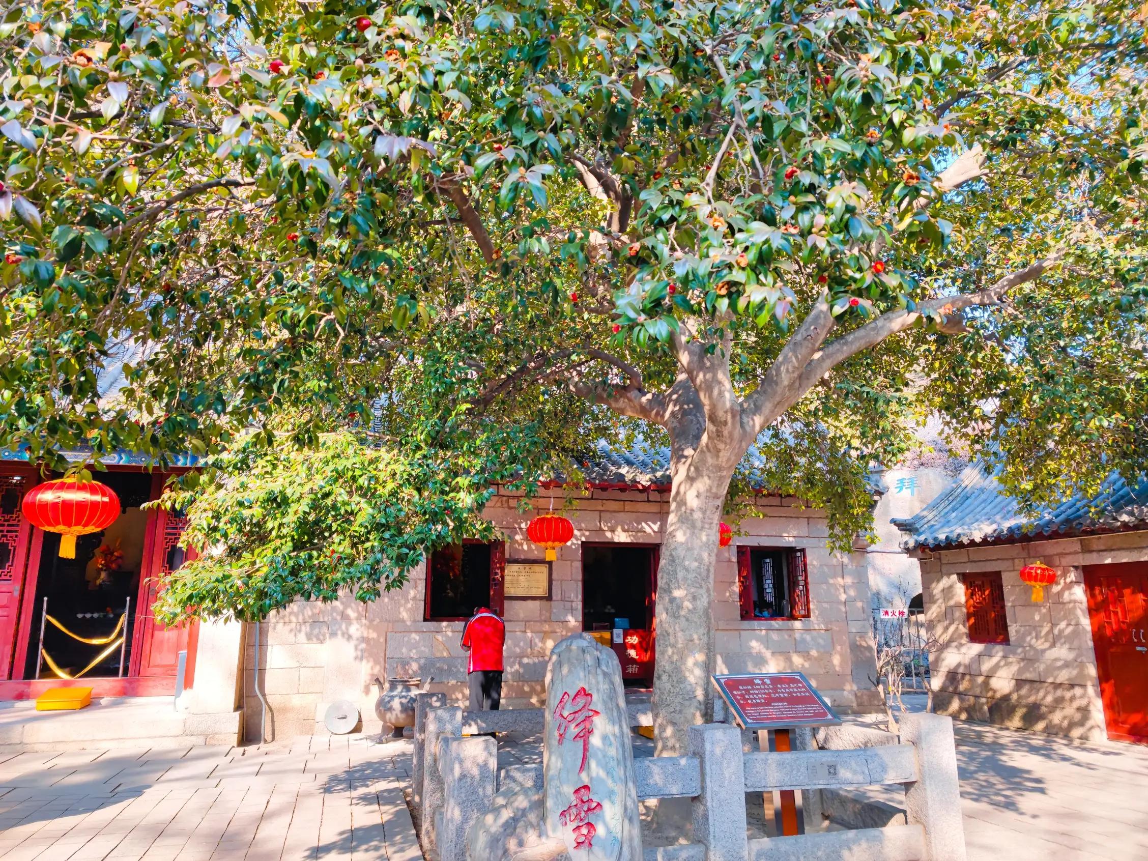 现代迎新春的诗词,迎新春的诗词大全100首