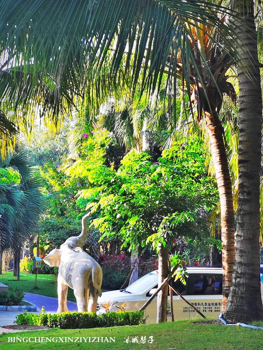 旅居海南,旅居式旅游生活海南