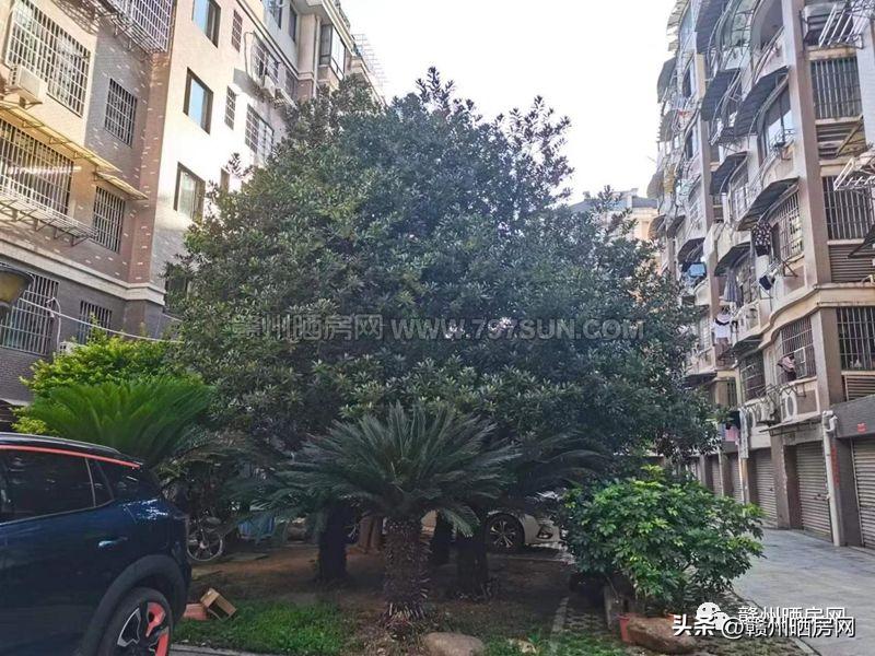 赣州金樽花园是哪年的房子,赣州金樽花园房价