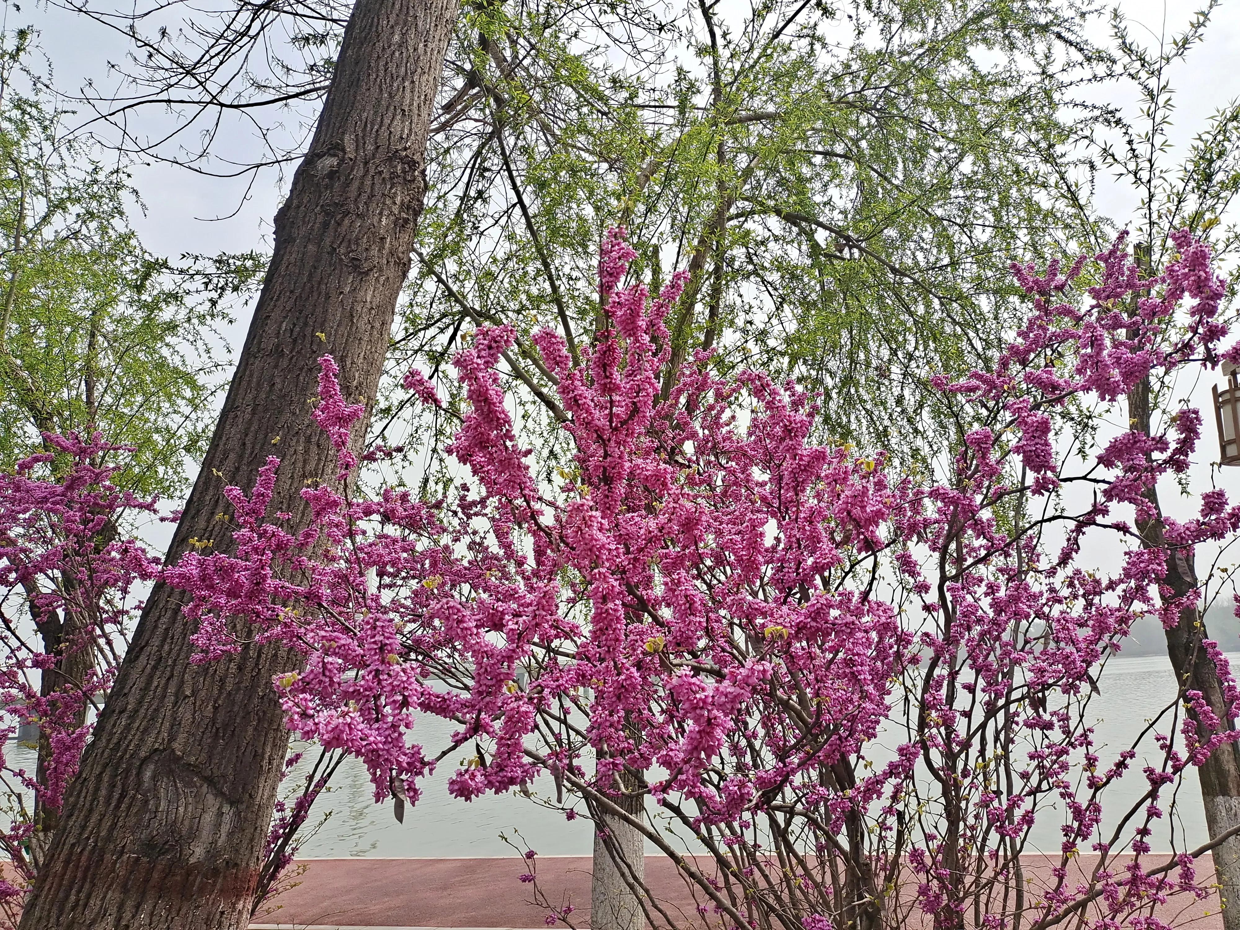 微信删除一个人最彻底的方式,微信删除一个人有记录吗