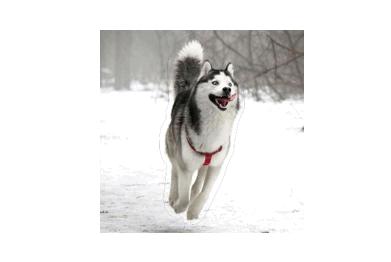 杂志的图片怎么保存到相册,杂志图片删除后会怎么样